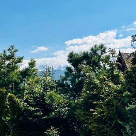Swarny Zakatek Lägenhet Zakopane Exteriör bild